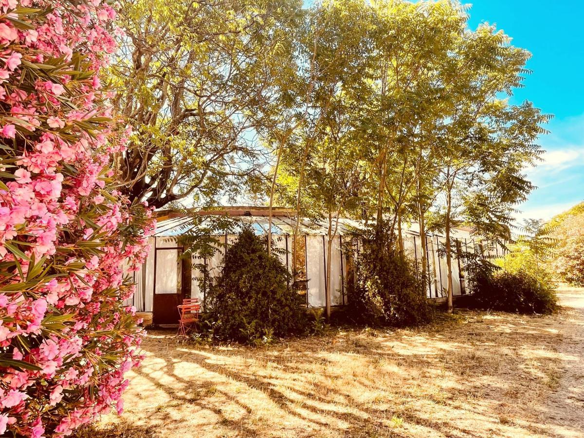 Tres Belle Rotonde Deco Boheme, Tennis, Parking Nimes Bagian luar foto